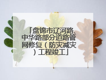 盘锦市辽河路、中华路部分道路管网修复（防灾减灾）工程竣工